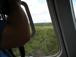 photo of scientist on a helicopter overlooking the Pine Upland flux station